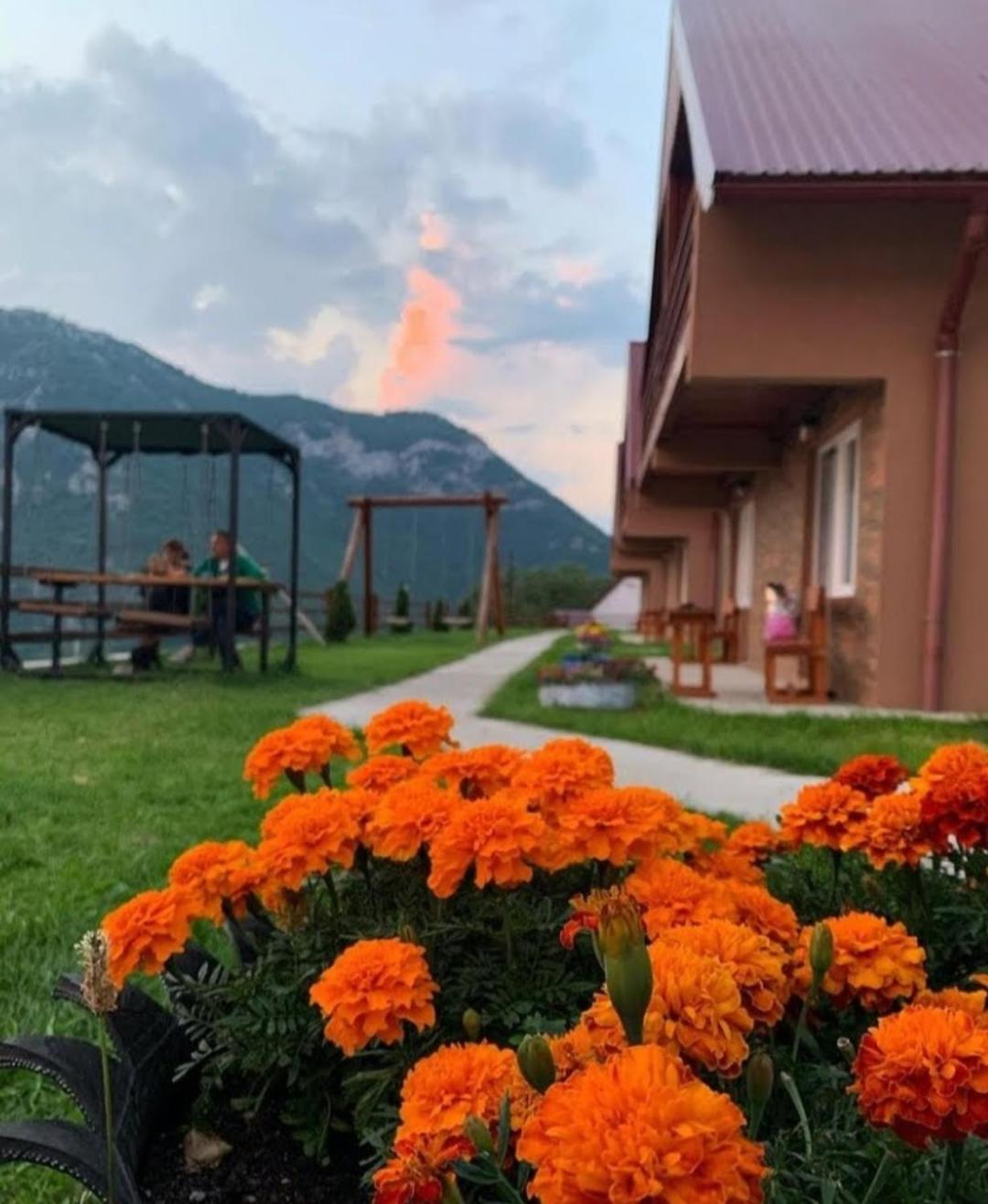 Guesthouse Madzarevic Плужине Екстериор снимка