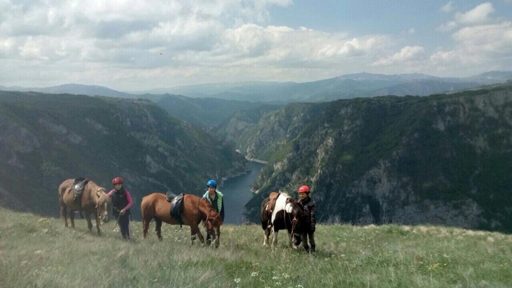 Guesthouse Madzarevic Плужине Екстериор снимка